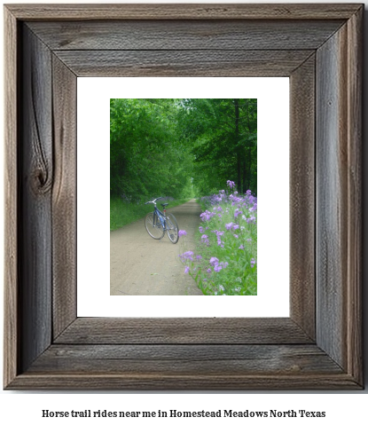 horse trail rides near me in Homestead Meadows North, Texas